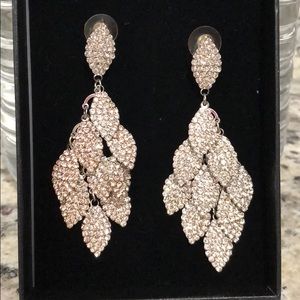 Lot of Bodybuilding Competition Jewelry